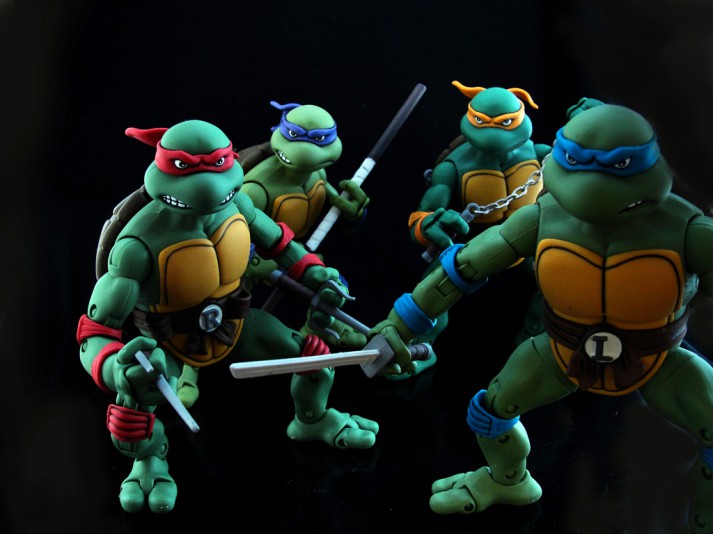 http://www.nerdfitness.com/wp-content/uploads/2014/07/ninja_turtles-713x534.jpg