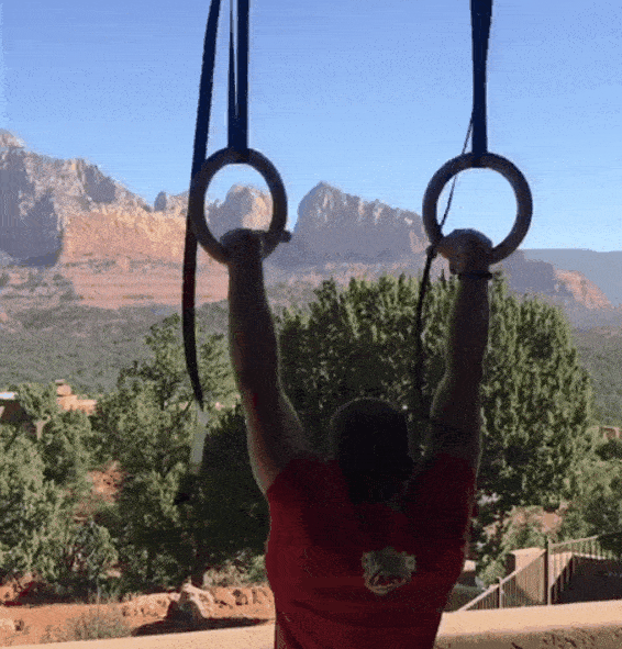 The Benefits of Gymnastic Rings & Exercises You Can Do With Them – DMoose