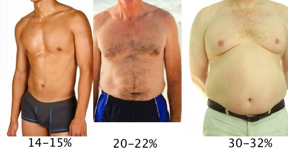 Body type male  Body fat percentage men, Lose body fat, Fitness