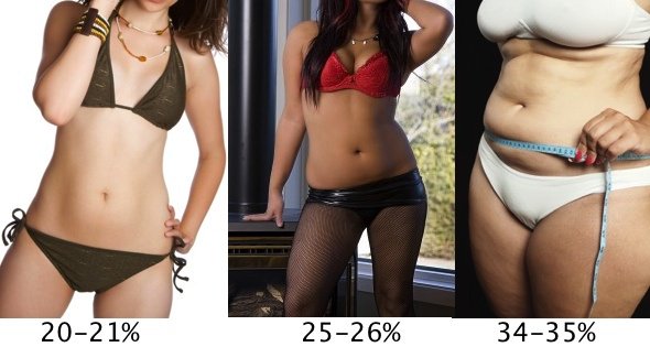 https://www.nerdfitness.com/wp-content/uploads/2019/01/women-body-fat-2.jpg