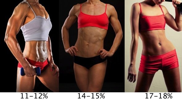 Body Fat Percentage Guide 7 Ways To Measure And Lower It