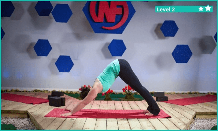 Yoga Pose: Lizard with Straight Arms | Pocket Yoga | Yoga poses, Yoga  breathing, Yoga