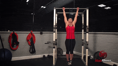 https://www.nerdfitness.com/wp-content/uploads/2019/03/assisted-pull-up-staci.gif