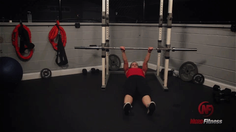 inverted row