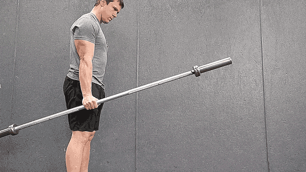 5 Strategies for Developing Massive Grip Strength, No Matter Your Hand Size  - Muscle & Fitness
