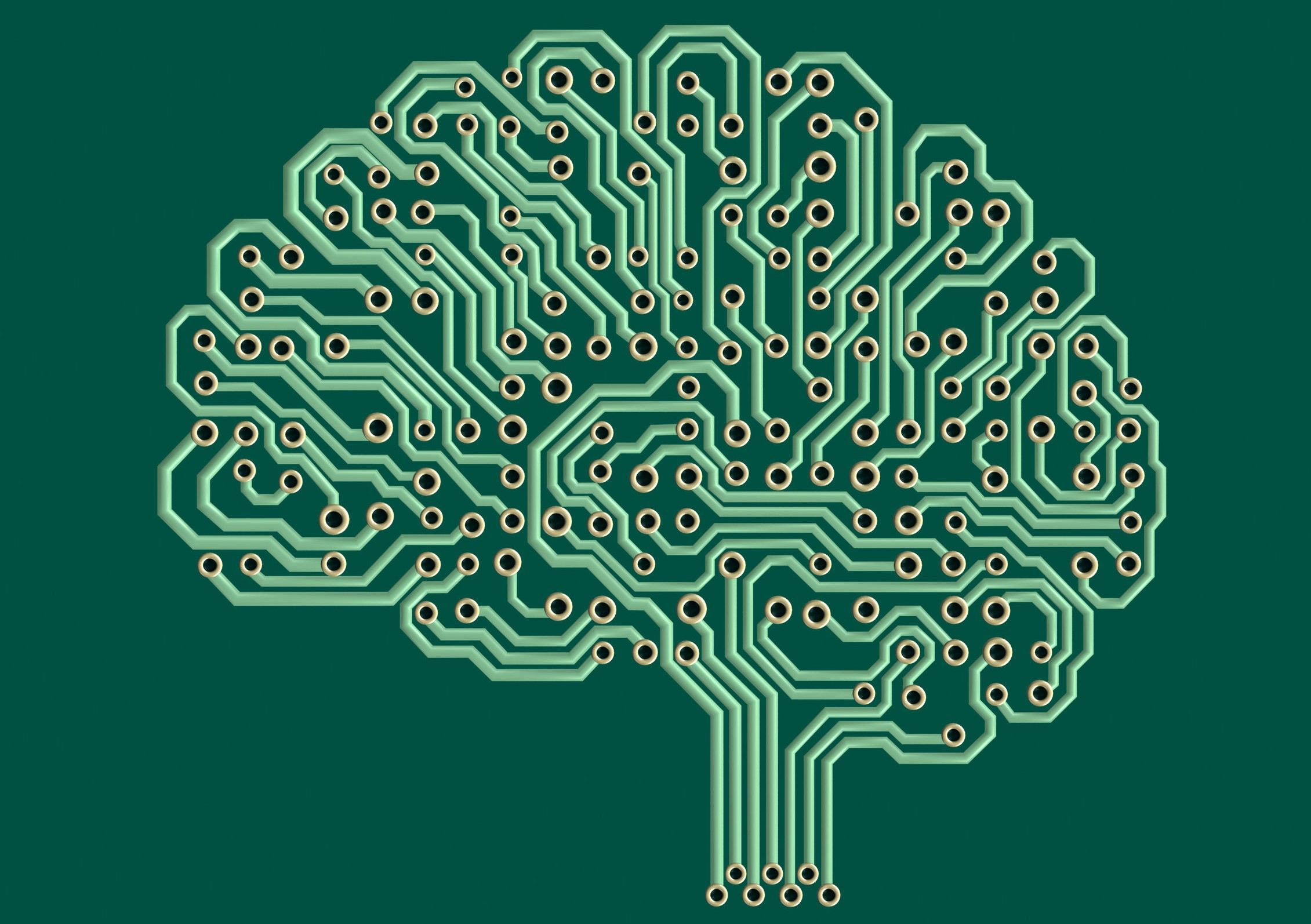 a picture of an Electronic brain